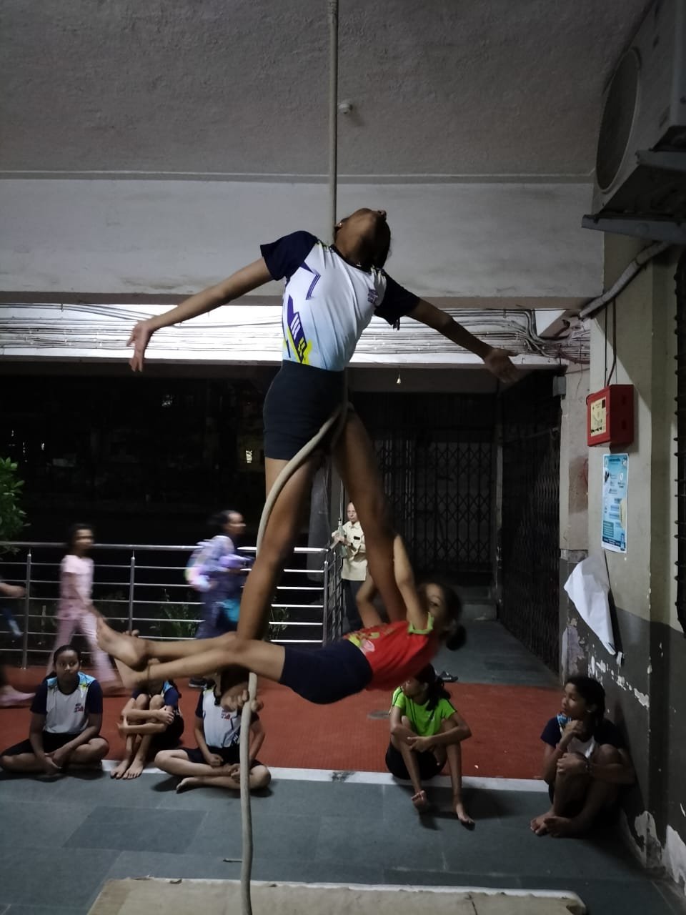 Activity 8